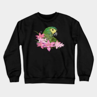 Red-bellied Macaw Crewneck Sweatshirt